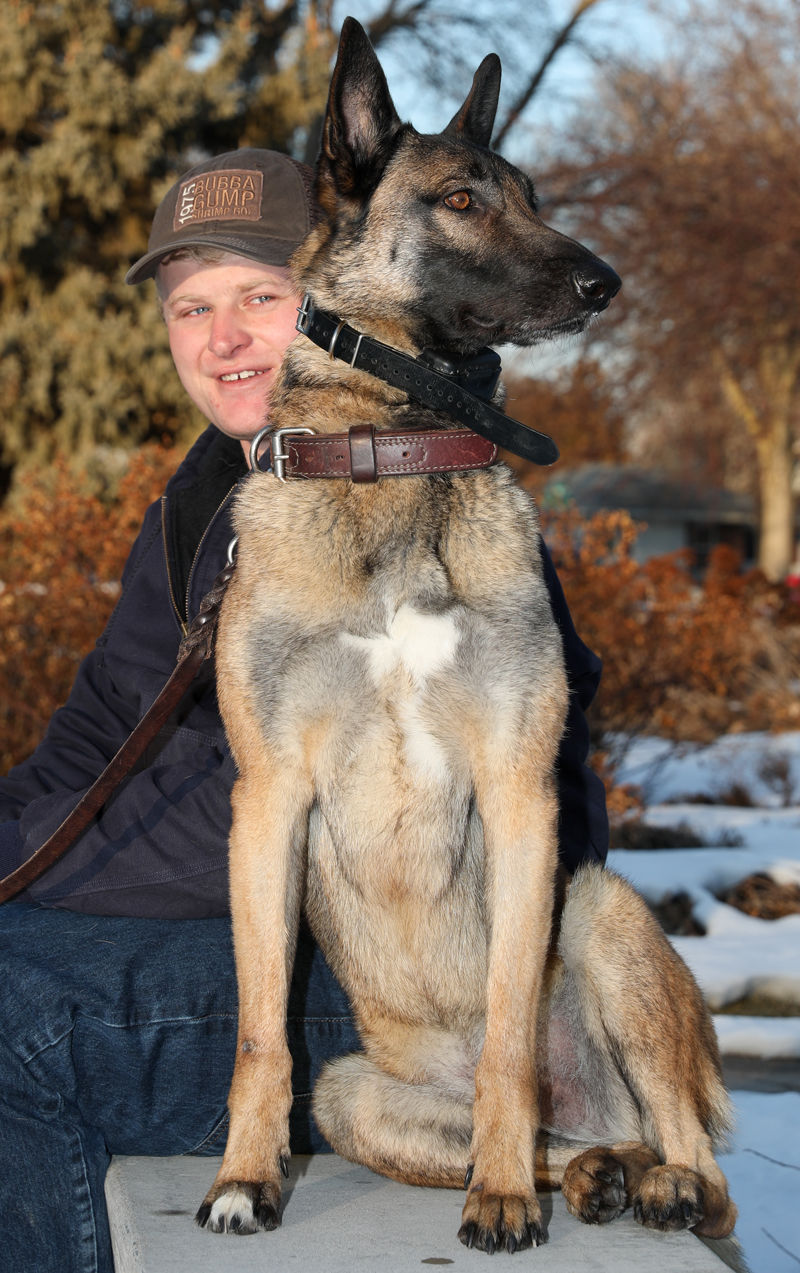 Veteran and his dog
